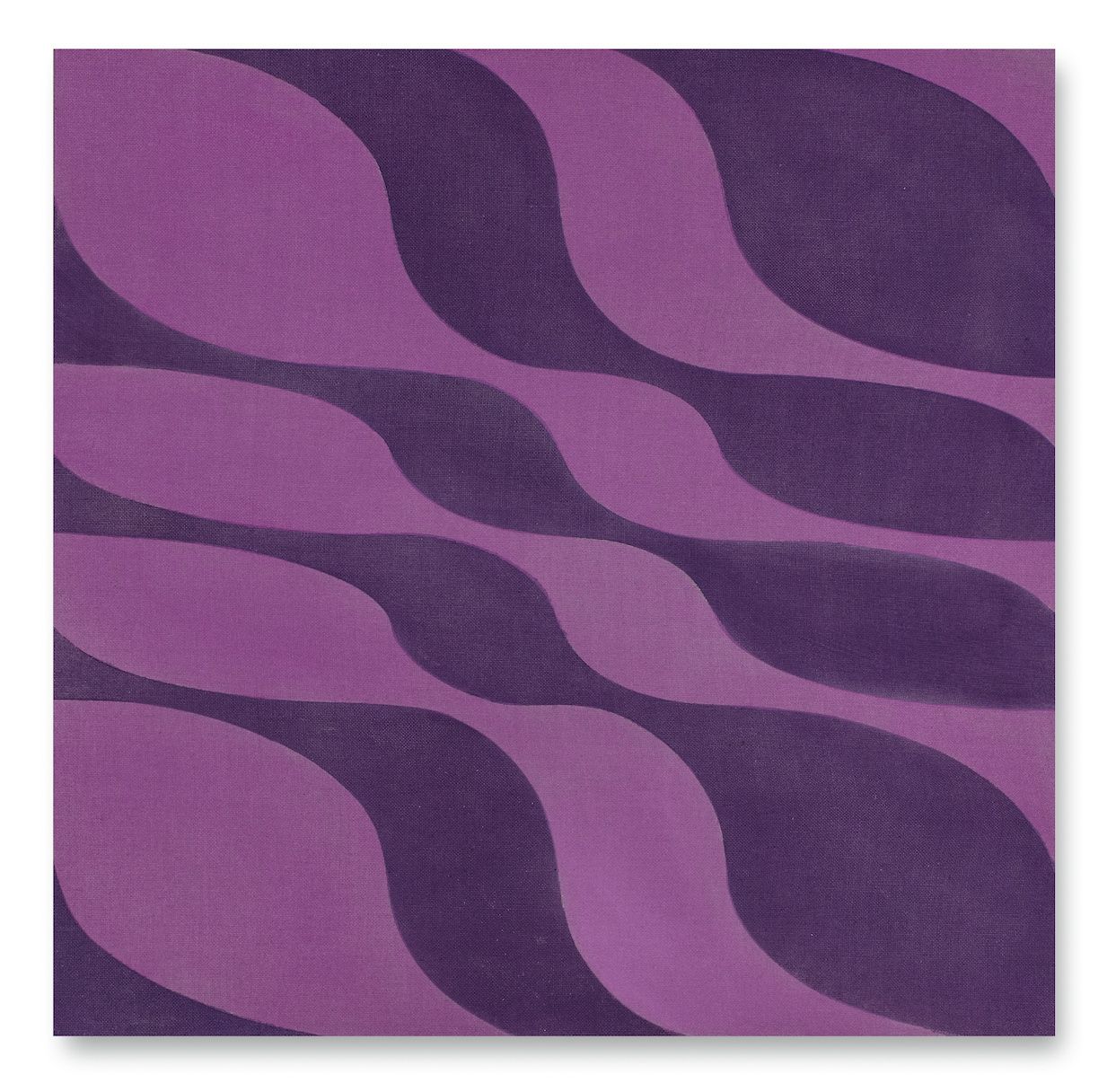 Violetas claro y oscuro