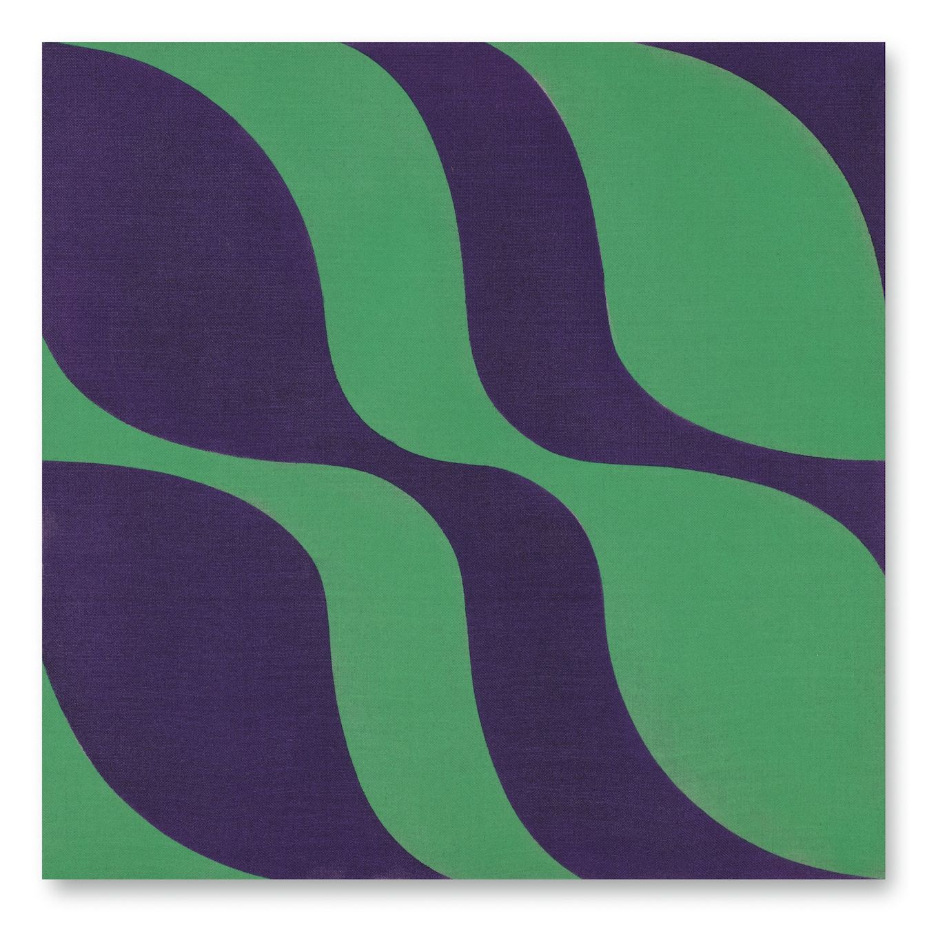 Violeta y verde