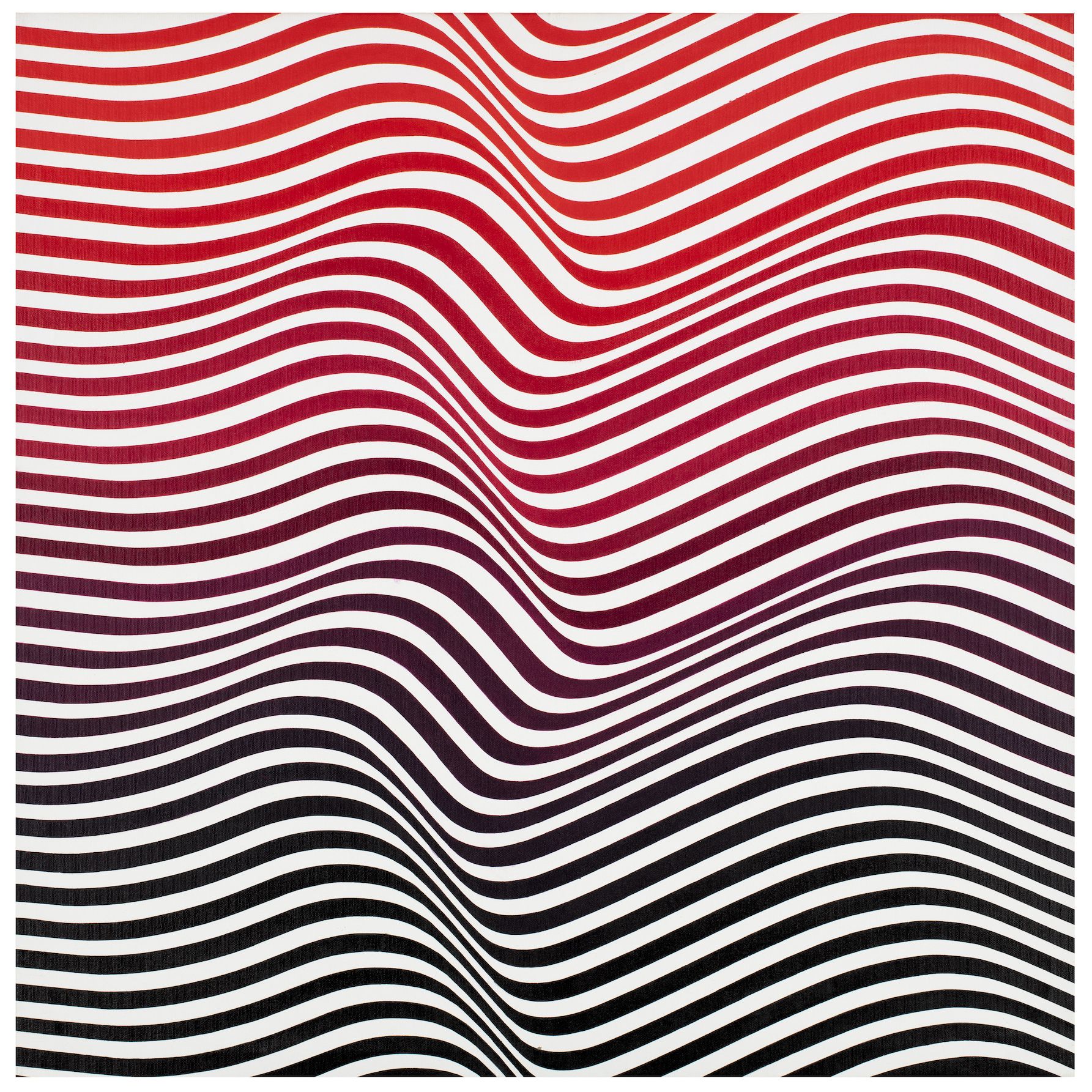 Zig painting Red