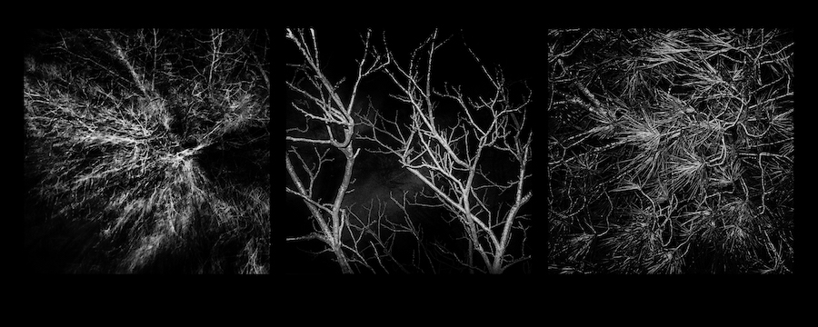 Panotripos 2
