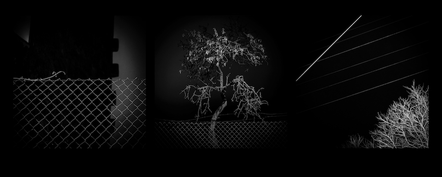 Panotripos 3